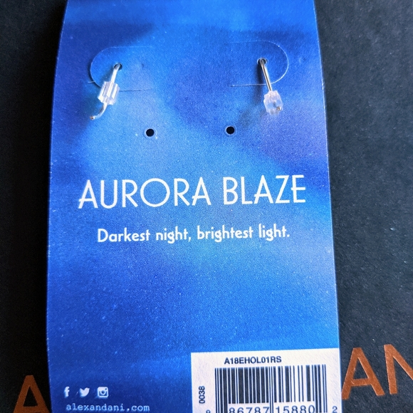 Alex & Ani Holiday Tassel Hook Earrings Silver - Picture 2 of 2